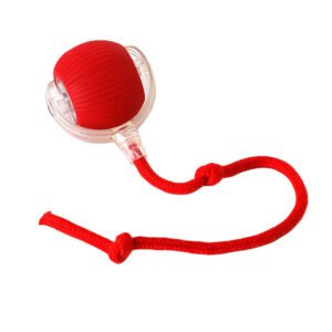 Cat Self-Entertainment Toy, Cat Ball, Pet Toy, pets