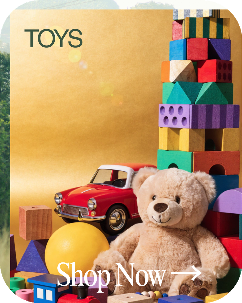 TOYS heidy claddy bundle shop set girls boys