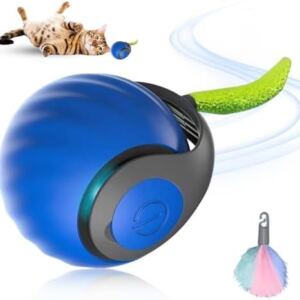 Interactive Cat Toys for Indoor Cats, Automatic Cat Toy Ball, Cat Toy, pets